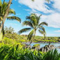 The Ultimate Guide to the Hawaii Romance Festival: After Parties and Social Events