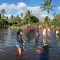 Exploring Volunteer Opportunities at the Hawaii Romance Festival