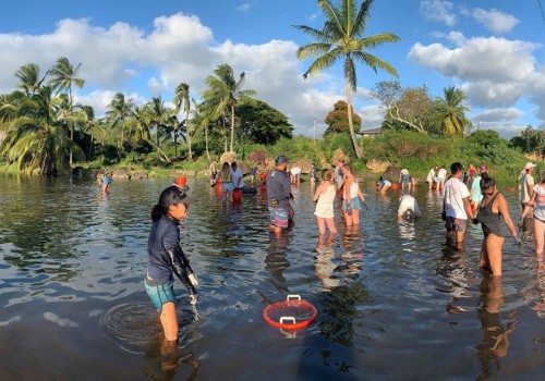 Exploring Volunteer Opportunities at the Hawaii Romance Festival